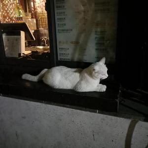 老熟妇小伙子DHXⅩXXX88
