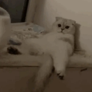 老熟妇小伙子DHXⅩXXX88
