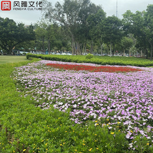 老熟妇小伙子DHXⅩXXX88
